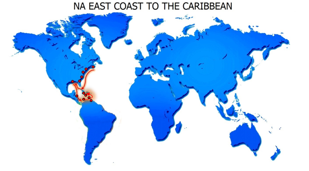 RO-RO NA EAST COAST TO THE CARIBBEAN SERVICE MAP